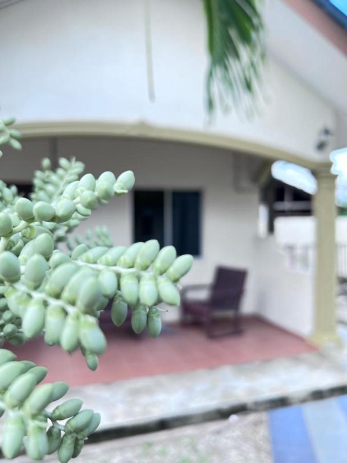 Dhania Cenang Beach Motel Pantai Cenang  Exterior photo